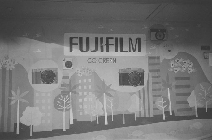 Eco-Friendly Wall Art Go Green with Your Decor