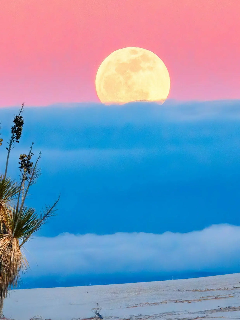 Moonrise Over Desert Triptych Canvas Print - Pink and Blue Sky Landscape | Set of 3 Wall Art for Tranquil Home Decor June Wall Art
