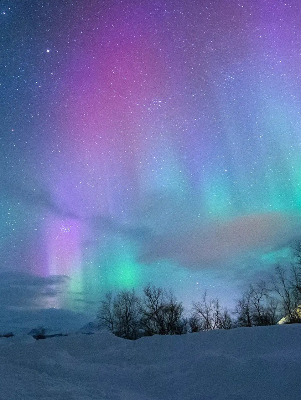 Aurora Borealis Canvas Print - Northern Lights over Tromsø, Norway | Stunning Night Sky Wall Art June Wall Art