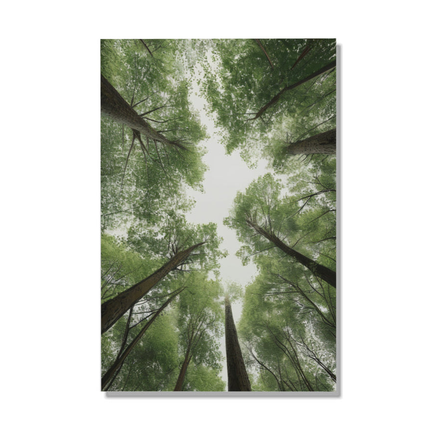 Enchanted Forest Canvas Art June Wall Art