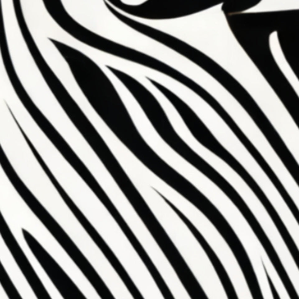 Black and White Abstract Waves Modern Wall Art Canvas June Wall Art