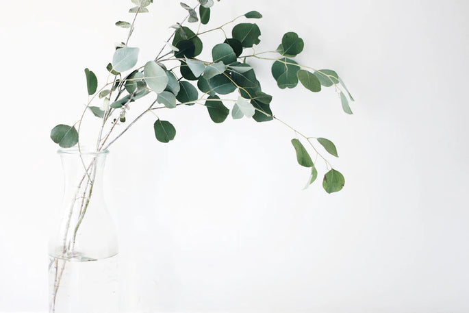 Mastering Wall Art Arrangements for Stunning Spaces