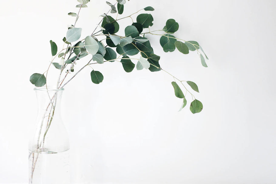 Mastering Wall Art Arrangements for Stunning Spaces