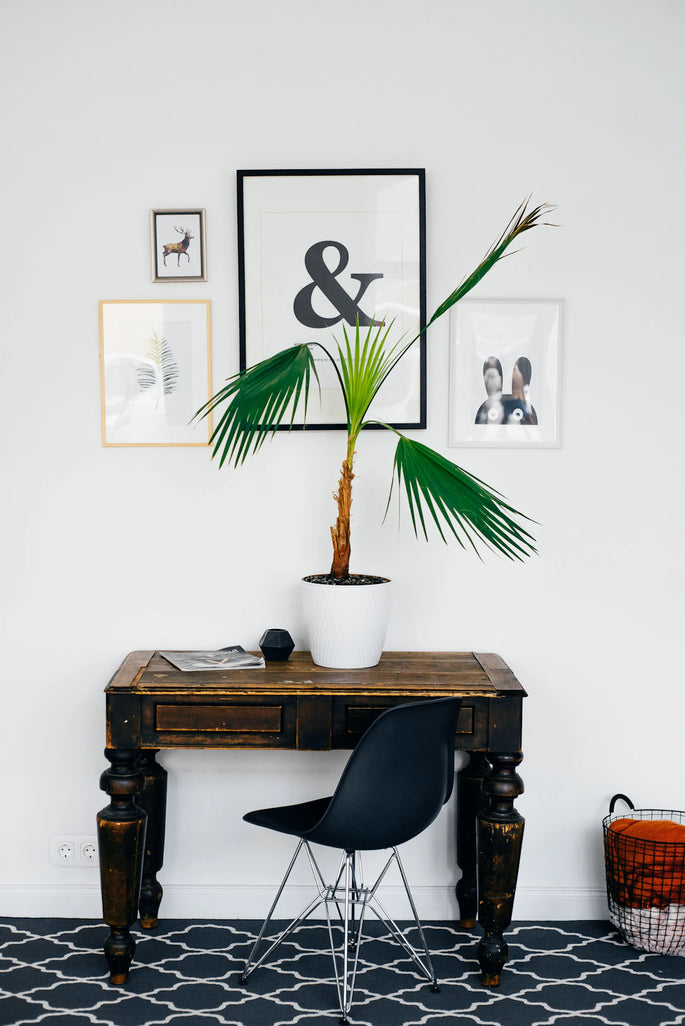 The Mood-Boosting Power of Wall Art