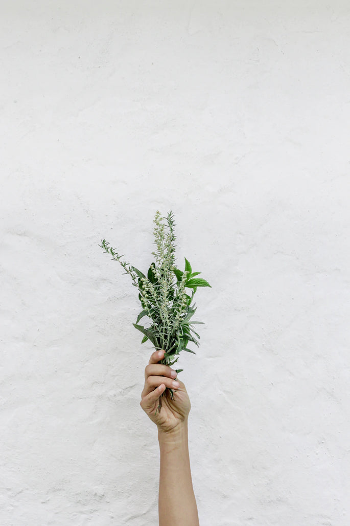Essential Tips to Care for Your Stunning Wall Art
