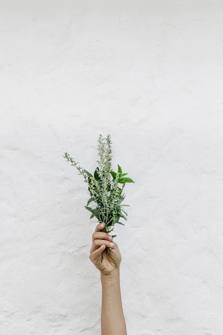 Essential Tips to Care for Your Stunning Wall Art
