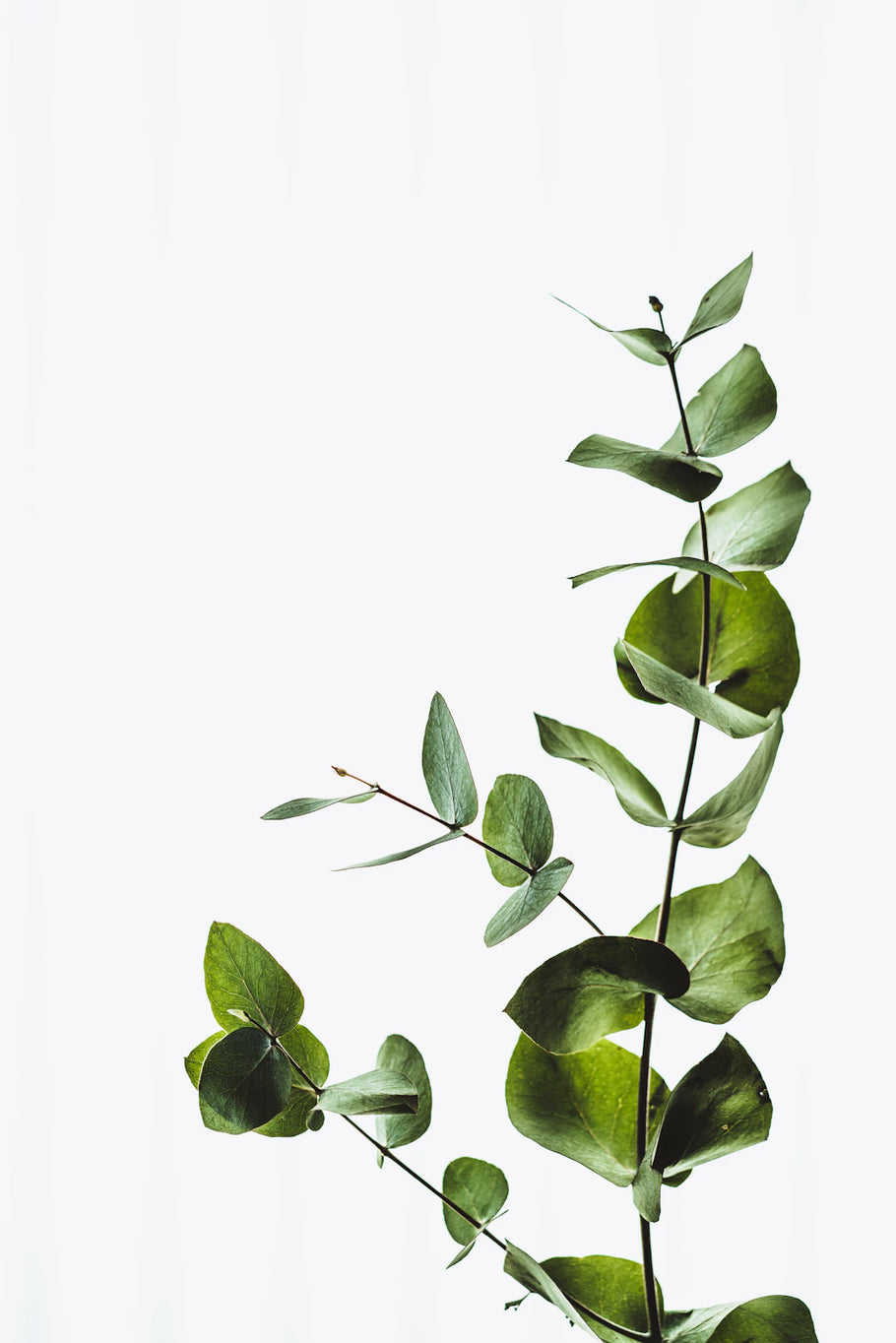Elevate Your Space Wall Art  Minimalism Unite