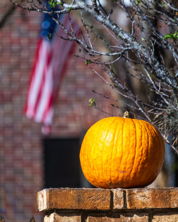 Seasonal Wall Art Revamp Your Space Anytime