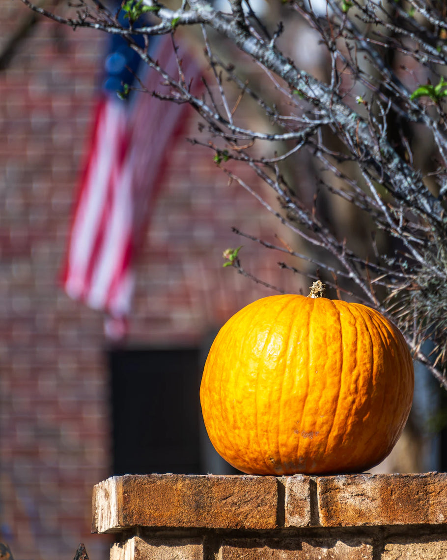Seasonal Wall Art Revamp Your Space Anytime