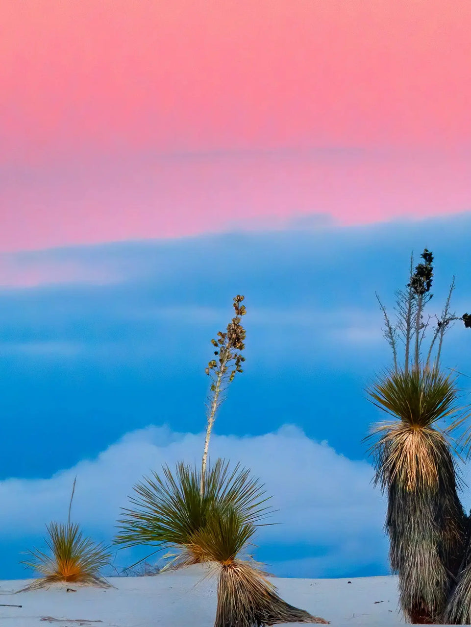 Moonrise Over Desert Triptych Canvas Print - Pink and Blue Sky Landscape | Set of 3 Wall Art for Tranquil Home Decor June Wall Art
