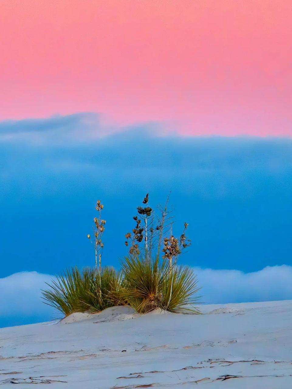 Moonrise Over Desert Triptych Canvas Print - Pink and Blue Sky Landscape | Set of 3 Wall Art for Tranquil Home Decor June Wall Art