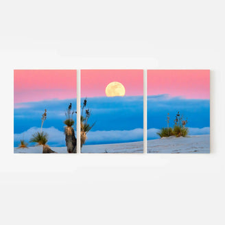 Moonrise Over Desert Triptych Canvas Print - Pink and Blue Sky Landscape | Set of 3 Wall Art for Tranquil Home Decor June Wall Art