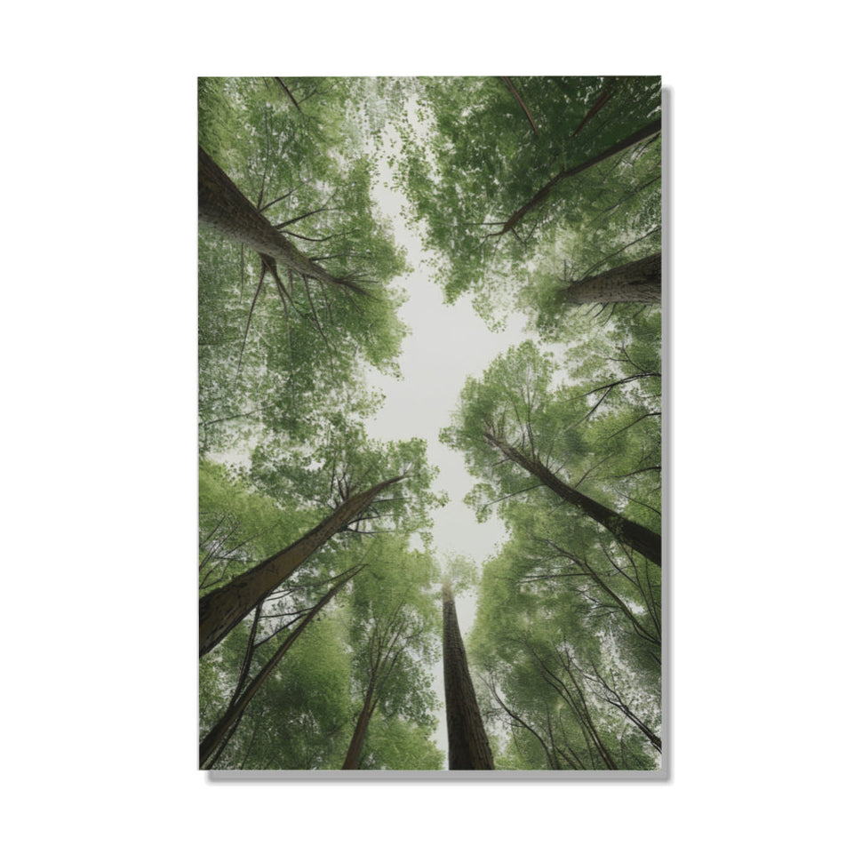Enchanted Forest Canvas Art June Wall Art