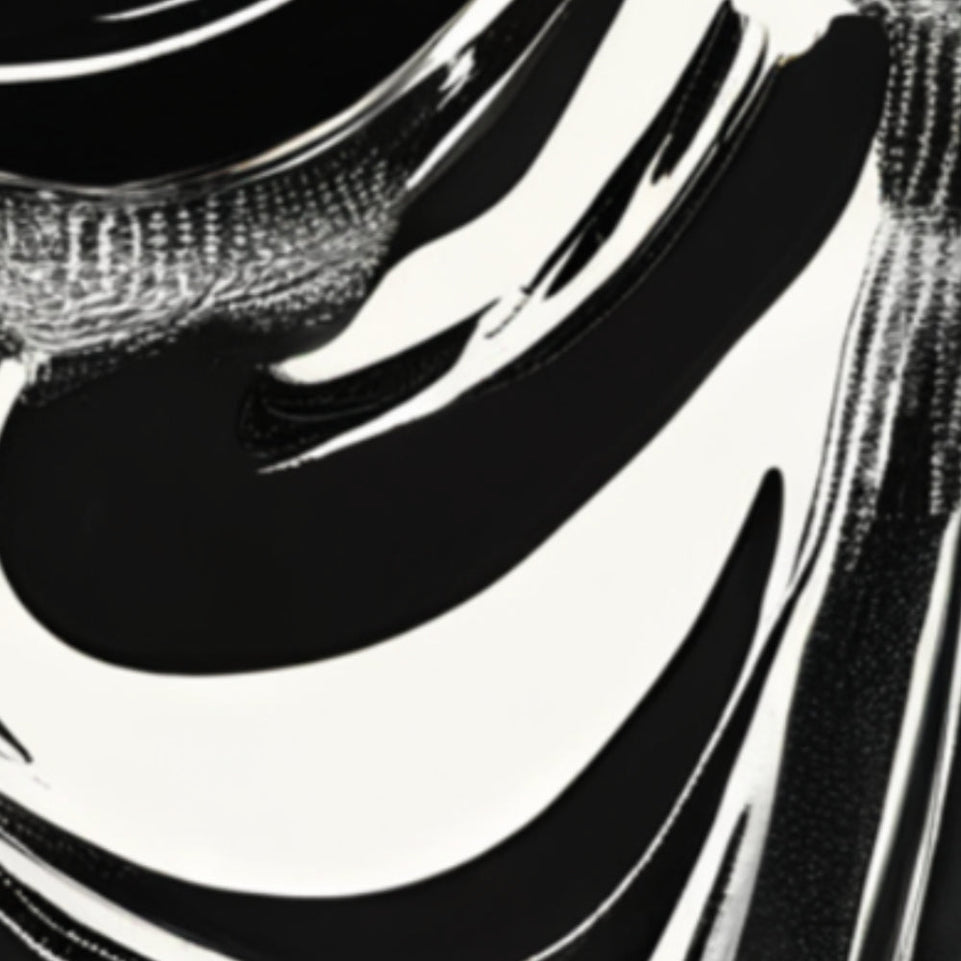 Black and White Abstract Flow Modern Wall Art Canvas June Wall Art