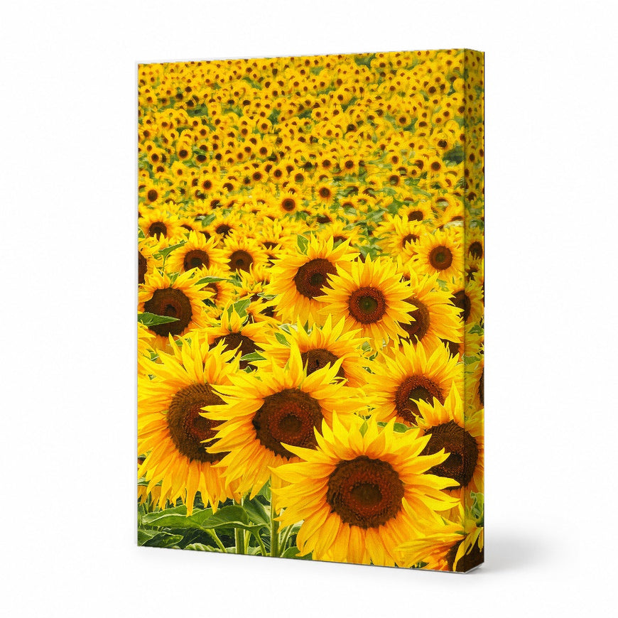 Vibrant Sunflower Field Canvas Art Print Art Wall Art Wooden Frame for Brightening Living Spaces, Boho Decor, Kitchen Wall Decor, Floral Art Modern Abstract Home Decor Framed Canvas Painting Ready to Hang Artwork Living Room Bedroom Office Wall Decor