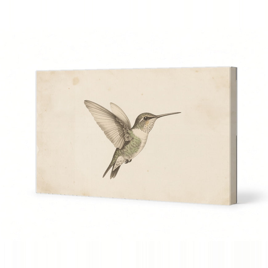 Hummingbird Canvas Art Print Art Wall Art Wooden Frame Ideal for Living Room Bedroom Decor Nature Lover Gift Modern Abstract Home Decor Framed Canvas Painting Ready to Hang Artwork Living Room Bedroom Office Wall Decor Premium Poster Print for Home